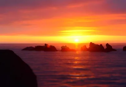 Pulmonology Insights: Living Well with COPD