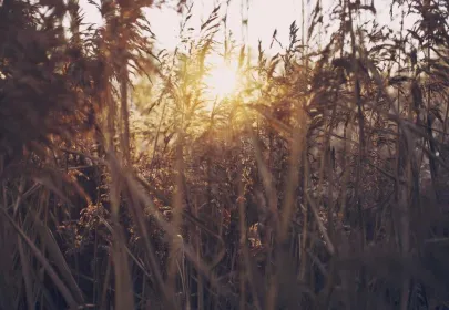 Urology: Understanding Prostate Health and Screening