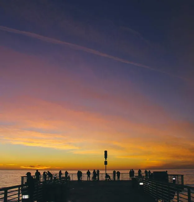 Mental Health Services