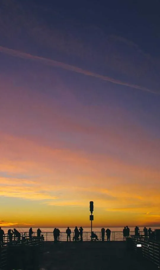 Mental Health Services