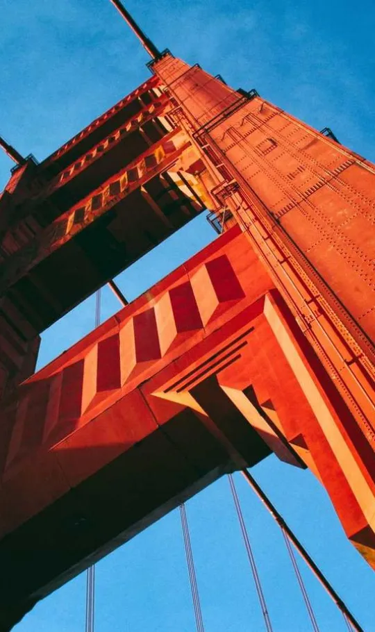 Anesthesiology Services