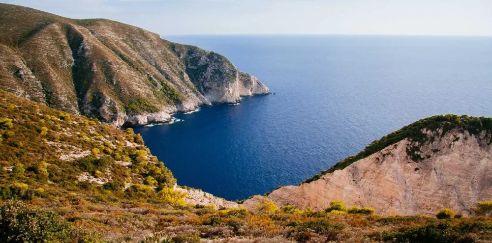 Surgical Services: What Happens in Pre-Op, OR, and Recovery